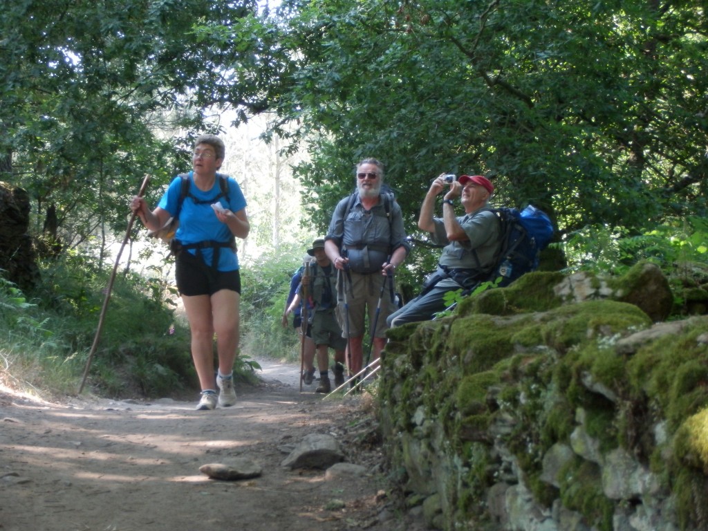 dar ziua e cald si frumos...
