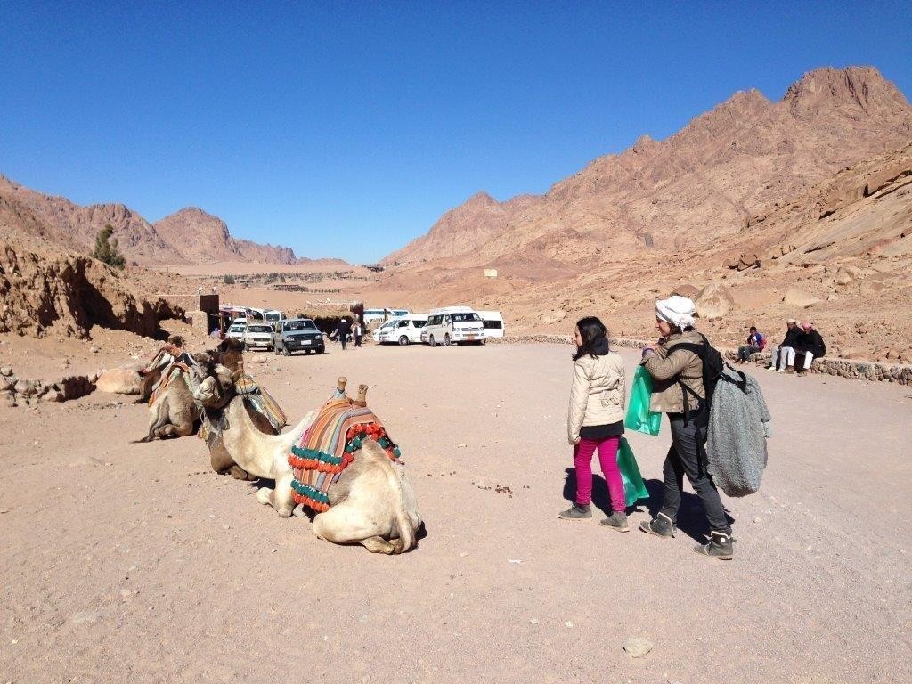 La poalele Muntelui Sinai, dupa un rasarit pentru care se urca sustinut ...