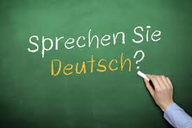 tu vorbesti germana?