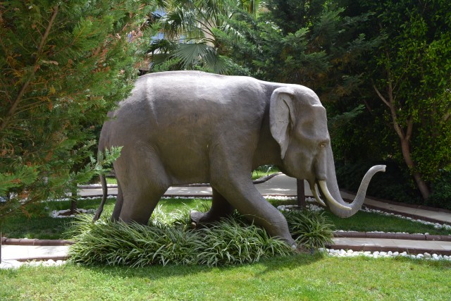 statuia din hotel elefantul hotelului