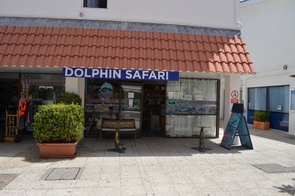 sediul dolphin safari