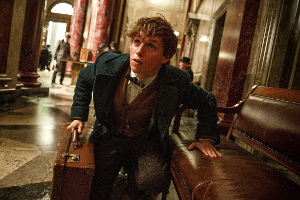 eddie-fantastic-beasts