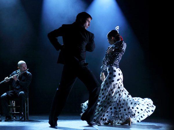 sursa-if-activ-tenerife