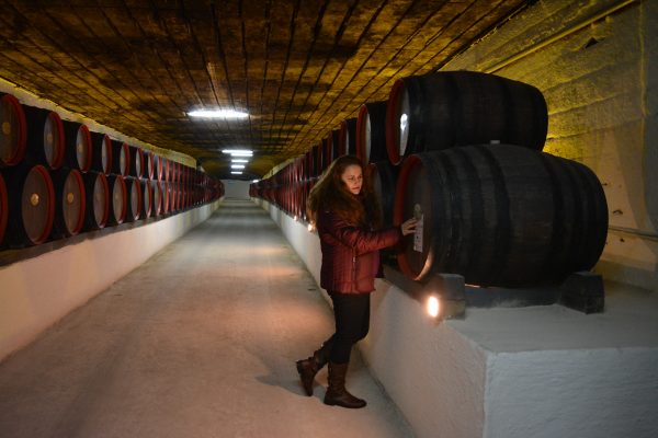 Galerii nesfarsite pline cu butoaie de vin