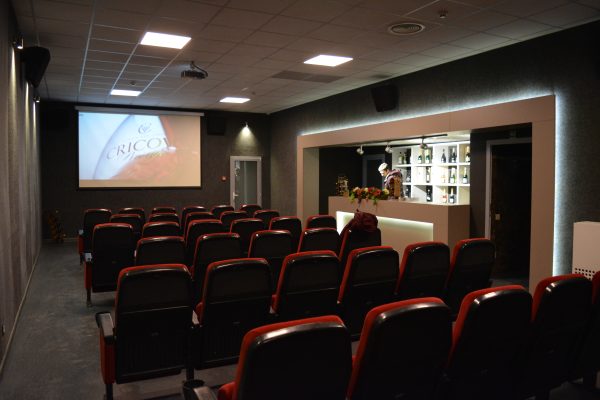 Cinematograful Cricova