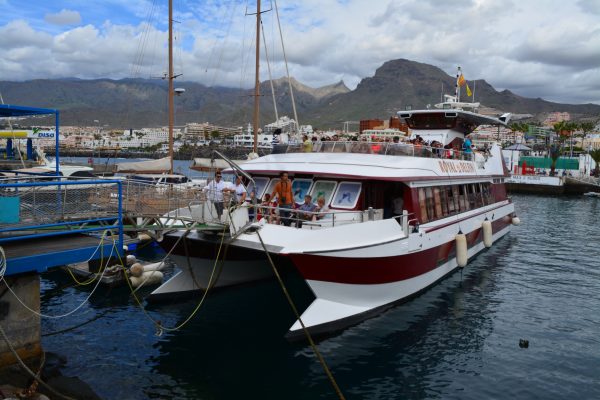 Royal Delfin