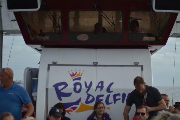 Royal Delfin