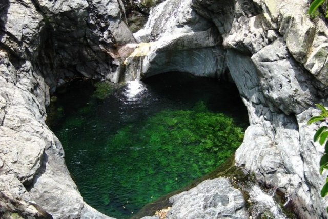 Cam asa arata o piscina naturala